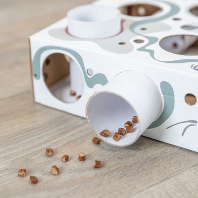 Gioco per gatti Trixie Paws'n'Treats Box