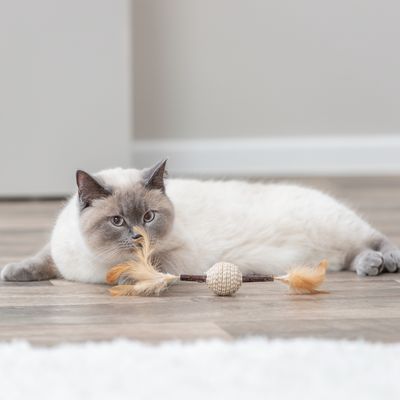 Trixie Matatabi игрушка из перьев