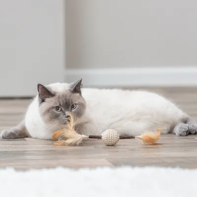 Juguete de plumas Trixie Matatabi para gatos - 1 unidad