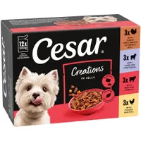 Cesar Pouches Creations in Jelly - 48 x 100g