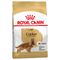 Royal Canin Cocker Spaniel Adult 12kg