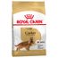 Royal Canin Cocker Adult 2 x 12 kg - Pack Ahorro