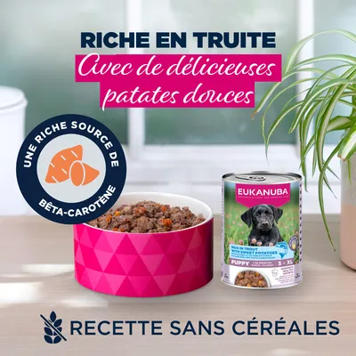 Eukanuba Puppy Riche en truite avec patate douce - lot économique : 48 x 400 g
