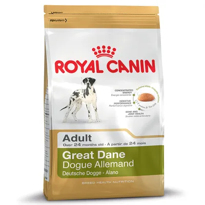 Royal Canin Great Dane Adult dry food for dogs over 24 months, with concentrated energy, digestive performance, bone and joint health, exclusive kibble. Bag shows product details.