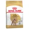 Royal Canin Poodle Adult 1,5 kg