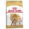Royal Canin Barboncino (Poodle) Adult Crocchette per cane 1,5 kg