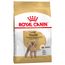 Pack Ahorro: Royal Canin Breed adulto Caniche Adult - 2 x 7,5 kg