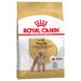 Pack Ahorro: Royal Canin Breed adulto Caniche Adult - 2 x 7,5 kg