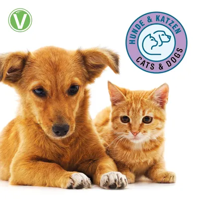 Vetlando Citrolyptus Zecken- & Floh-Shampoo Monoi-Duft