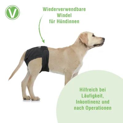 Vetlando couche lavable pour chienne - taille S