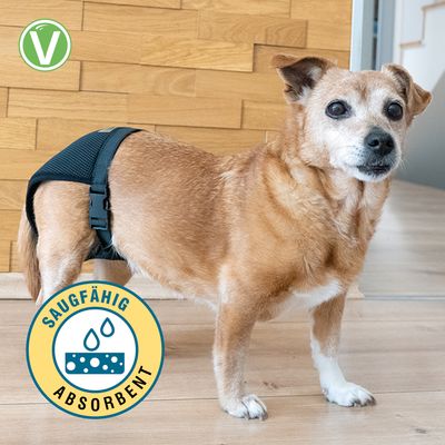 Vetlando Culotte de chaleur pour chienne