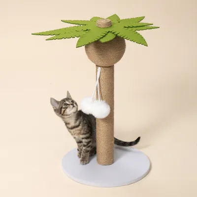TIAKI Kratzbaum Palme - braun