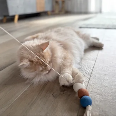 Aumüller Katzenspielangel Filoa Makramee - 1 Stück