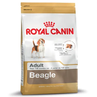 Bag labelled Royal Canin Adult Beagle, over 12 months old. Highlights: ideal weight, food intake control, bone and joint health, exclusive kibble shape shown.