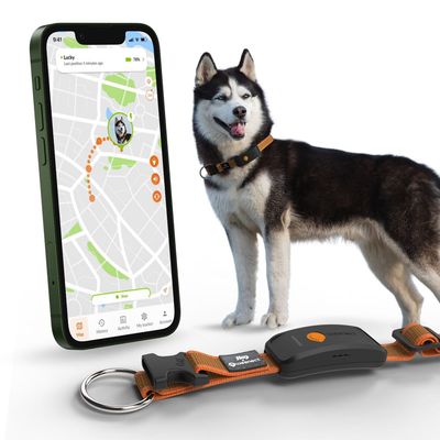 Weenect Pet GPS Dog Tracker XT
