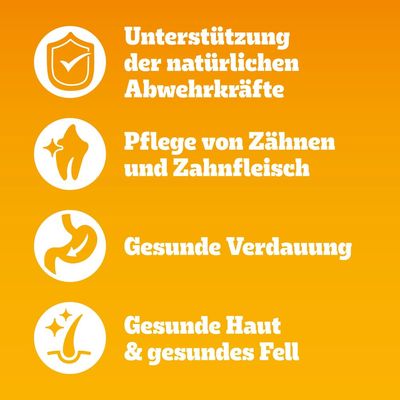 Pedigree Professional Nutrition Mini Adult mit Rind & Gemüse