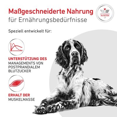 Royal Canin Veterinary Canine Glycobalance - 12 kg