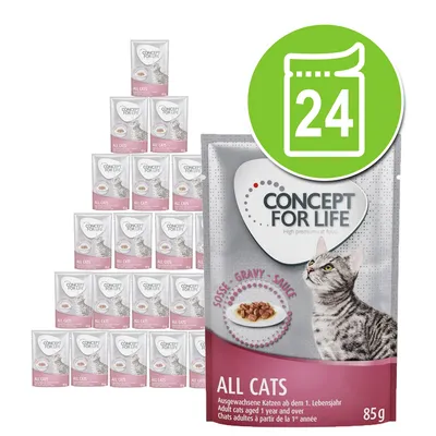 Concept for Life All Cats natvoer in saus, verpakking van 24 zakjes à 85g. Op de voorkant: afbeelding kat, merknaam en tekst 'ALL CATS', geschikt voor volwassen katten vanaf 1 jaar.