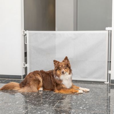 Trixie Retractable Barrier Blind