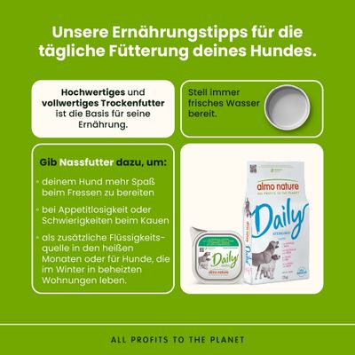 Ernährungstipps für die tägliche Fütterung: hochwertiges Trockenfutter, immer frisches Wasser, Nassfutter als Ergänzung. almo nature Daily Produkte abgebildet.