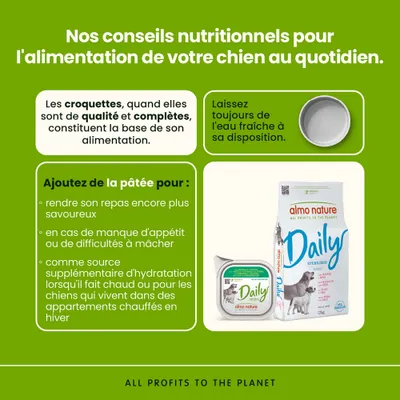 Conseils nutritionnels pour chiens : des croquettes de haute qualité comme base, toujours mettre de l'eau fraîche à disposition, de la nourriture humide pour le goût, en cas de manque d'appétit ou pour une hydratation supplémentaire. Produits almo nature Daily illustrés.