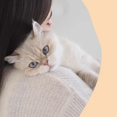 GimCat Nutri Bouchées Vitamines avec poulet - 40 g