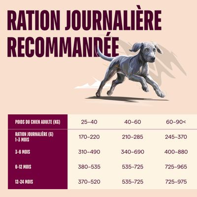 Carnilove Active Junior Large Breed Saumon et dinde