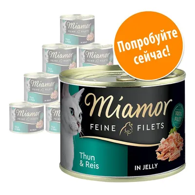 Консервы для кошек Miamor Feine Filets Thun & Reis in Jelly, изображены 7 банок. На оранжевом круге текст: Попробуйте сейчас!