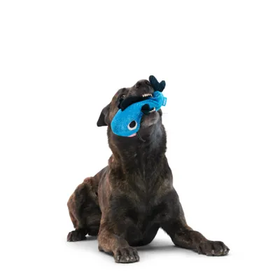 Bark Gioco per cane Pesce gatto Claude - ca. L 24 x P 19 x H 11,4 cm