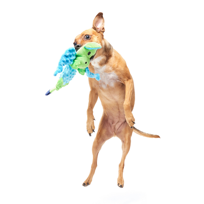 Bark zabawka dla psa, smok Humbert