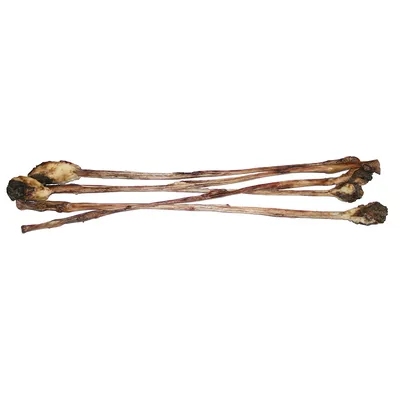 Several dried beef bones with dark ends, suitable as chew treats for pets. Several dried beef bones with dark ends, suitable as chew treats for pets.