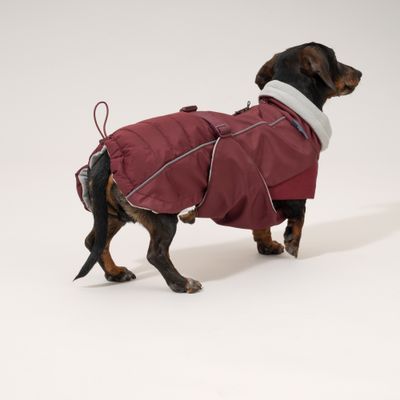 Nomad Tales Spirit Softshell-Hundemantel, burgunderrot