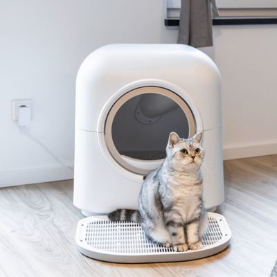 Kerbl Pet samoczyszcząca kuweta dla kota Smart