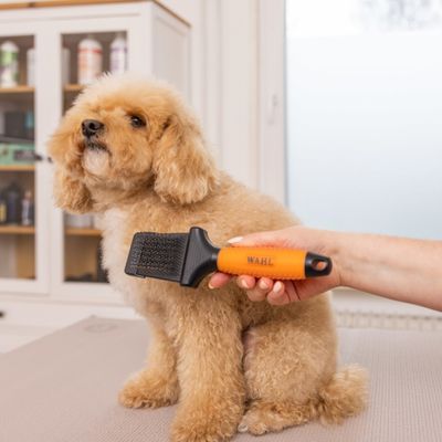 Spazzola doppia WAHL® Premium a setole flessibili