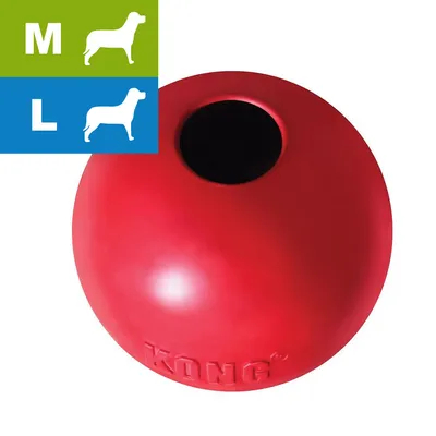 Balle rouge en caoutchouc KONG avec ouverture, tailles M et L indiquées par pictogrammes de chiens et lettres sur fond vert et bleu. Balle rouge en caoutchouc KONG avec ouverture, tailles M et L indiquées par pictogrammes de chiens et lettres sur fond vert et bleu.