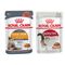 Pakiet mieszany Royal Canin, 24 x 85 g Instinctive w sosie i Hair & Skin Care w sosie