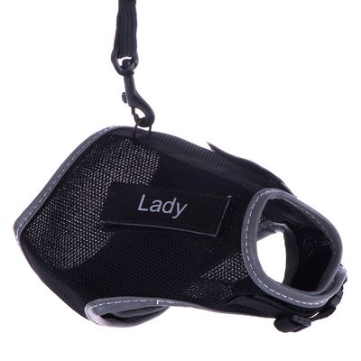 Pettorina per gatti Trixie XCat con adesivi e guinzaglio nero