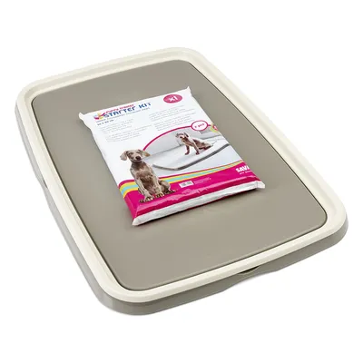 Puppy Trainer Starter Kit XL, Set mit 7 Pads für Welpentraining. Abgebildet: Hund auf Trainingsmatte. Verpackung auf grauer Kunststoffwanne.