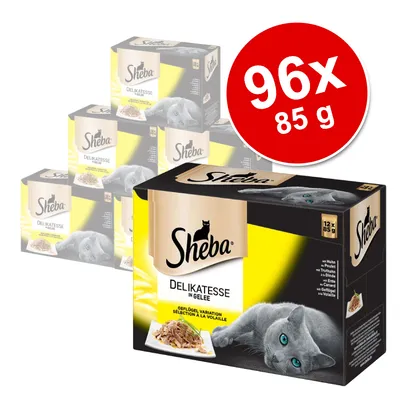 Sheba Delikatesse in Gelee, zestaw 96 x 85 g. Widoczne opakowania z wizerunkiem kota i talerzem karmy. Na czerwonym kole napis: 96x 85 g. Sheba Delikatesse in Gelee, zestaw 96 x 85 g. Widoczne opakowania z wizerunkiem kota i talerzem karmy. Na czerwonym kole napis: 96x 85 g.