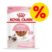 Mix-Sparpaket Royal Canin Kitten - 48 x 85 g Soße & Mousse