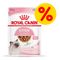 Mix-Sparpaket Royal Canin Kitten 48 x 85 g Soße & Mousse