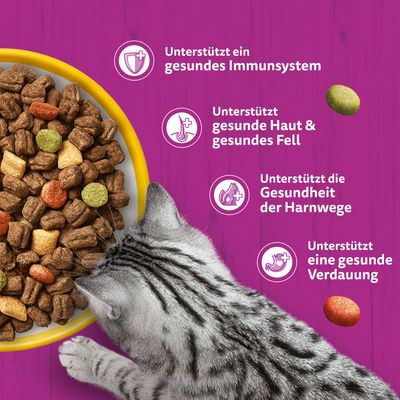 2 x 3,8 kg Whiskas gemischter Doppelpack