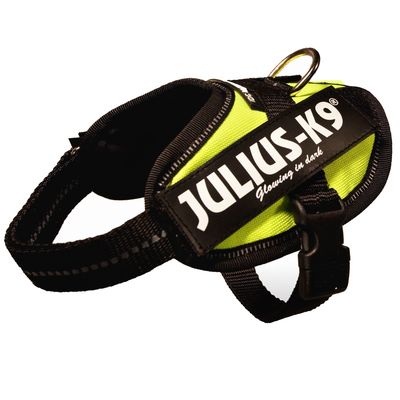 Postroj s nápisem JULIUS-K9® Glowing in dark, kovový kroužek na připnutí vodítka, plastová přezka, černé a žluté textilní provedení.