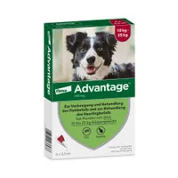 Advantage® 250 voor Honden 10 - 25 kg - 4 Pipetten - NL