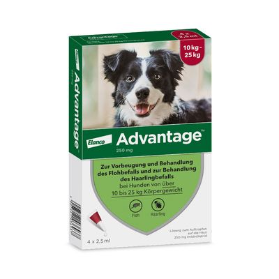 Advantage® 250 voor Honden 10 - 25 kg 4 Pipetten - NL