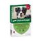 Advantage® 250 voor Honden 10 - 25 kg 4 Pipetten - NL