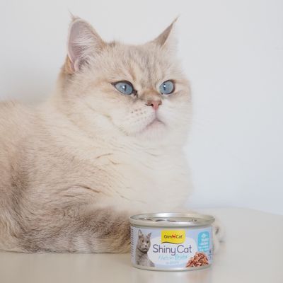 GimCat ShinyCat Kattenvoer 6 x 70 g