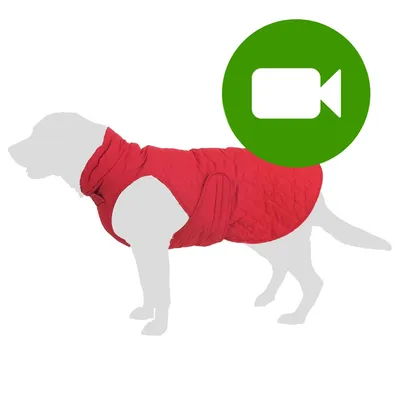 Przycisk odtwarzania wideo. Kliknij tutaj, aby obejrzeć film prezentujący produkt: czerwona kurtka na psie.