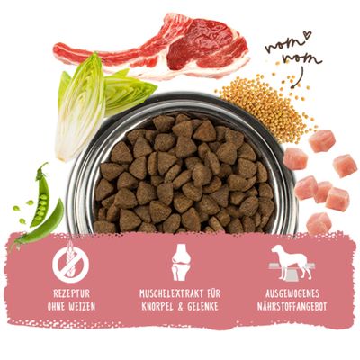 Trockenfutter mit Fleisch, Erbsen, Getreide und Gemüse. Hinweise: Rezeptur ohne Weizen, Muschelextrakt für Knorpel & Gelenke, ausgewogenes Nährstoffangebot.