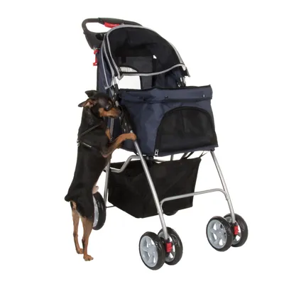 Chien noir de petite taille debout contre une poussette pour animaux à quatre roues, structure en métal et tissu bleu avec panier de rangement sous le siège.